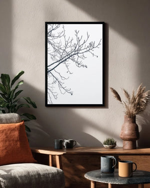 Winter Line Lifestyle 1