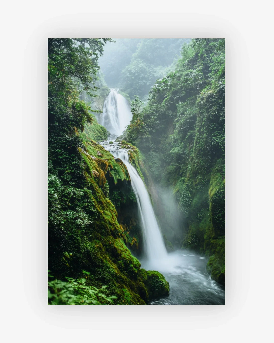 Waterfall in a lush green forest