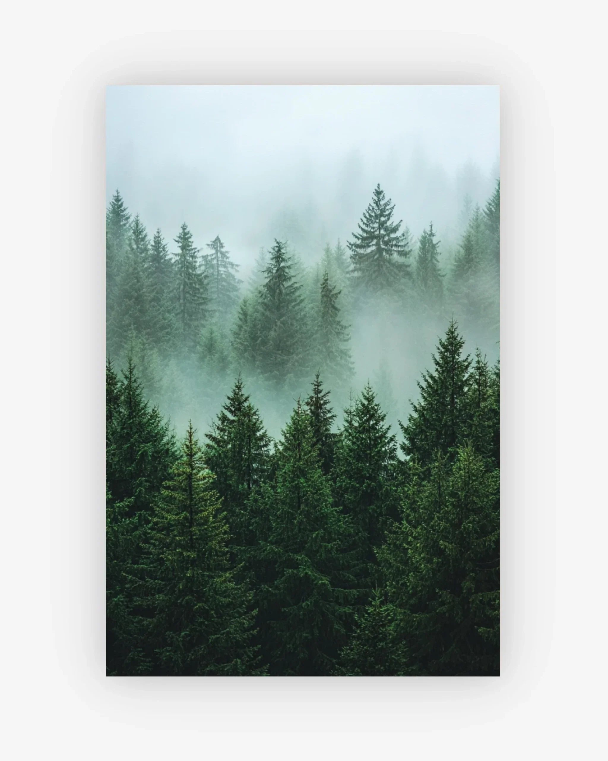 Emerald Mist Poster Nomad Haus