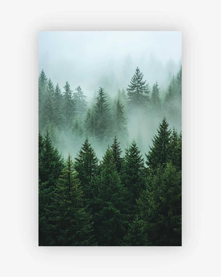 Forest scene with misty atmosphere on a light blue background