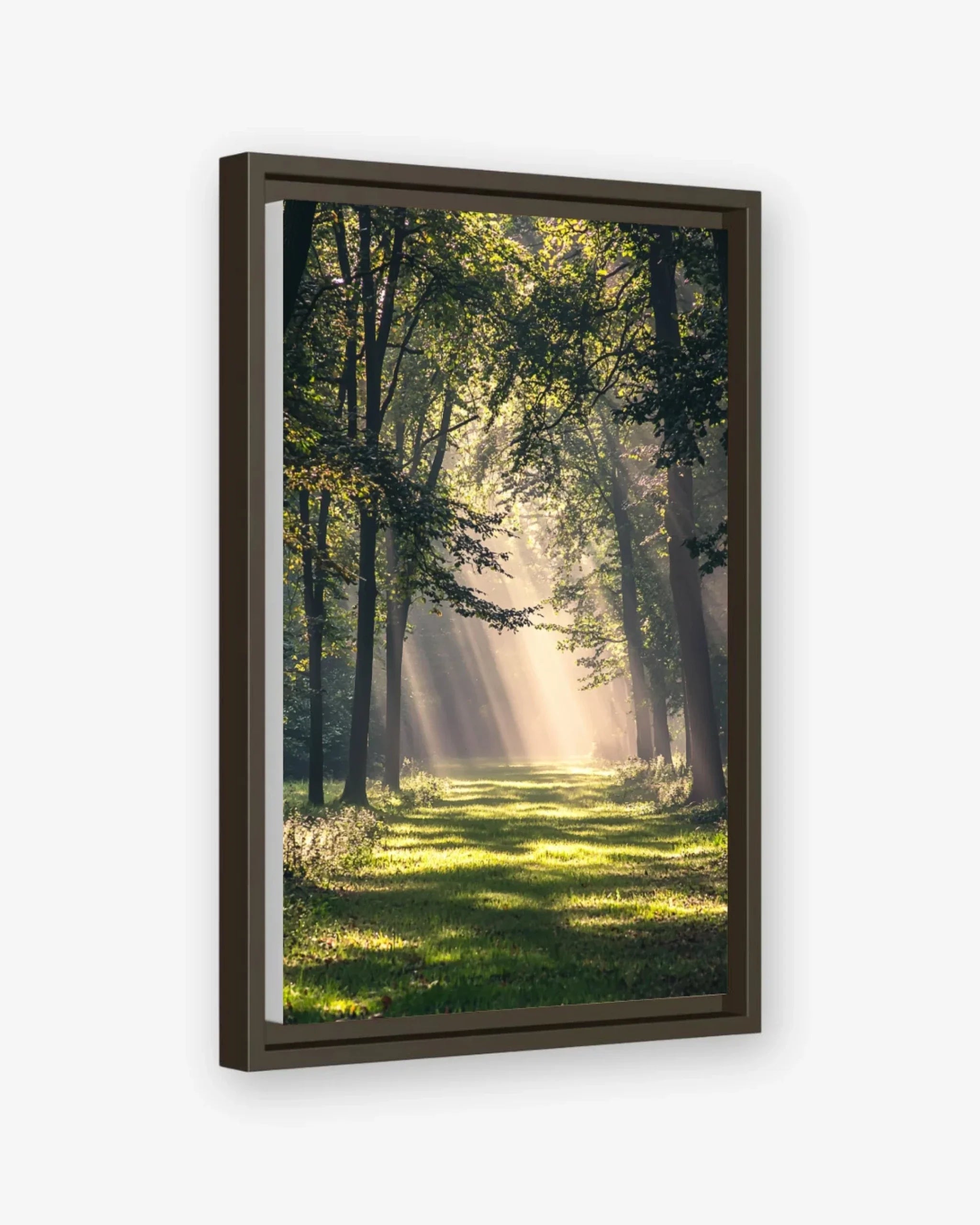 Forest Light Canvas Espresso Frame Nomad Haus