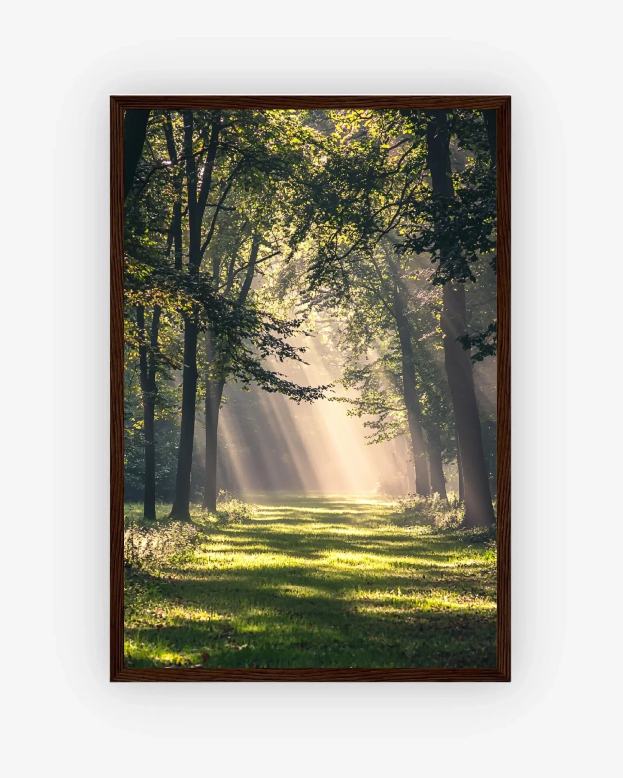 Forest Light Poster Dark Wood Frame Nomad Haus