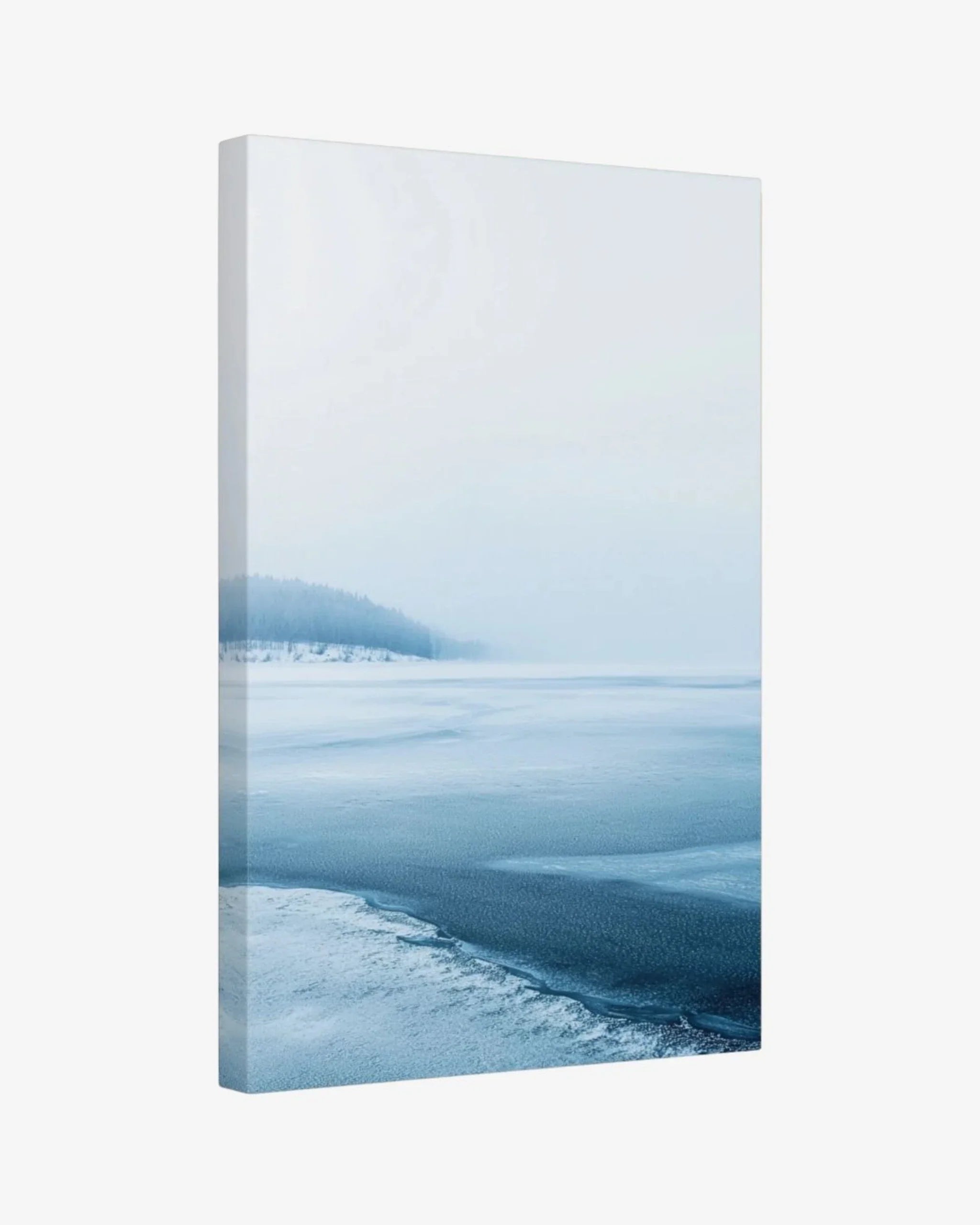 Frozen Silence Canvas Nomad Haus