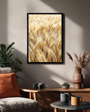 Golden Field Lifestyle 1