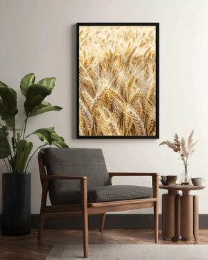 Golden Field Lifestyle 2