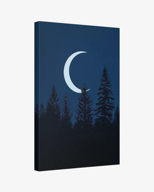 Lunar Pines Canvas Nomad Haus