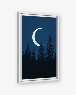 Lunar Pines Canvas White Frame Nomad Haus