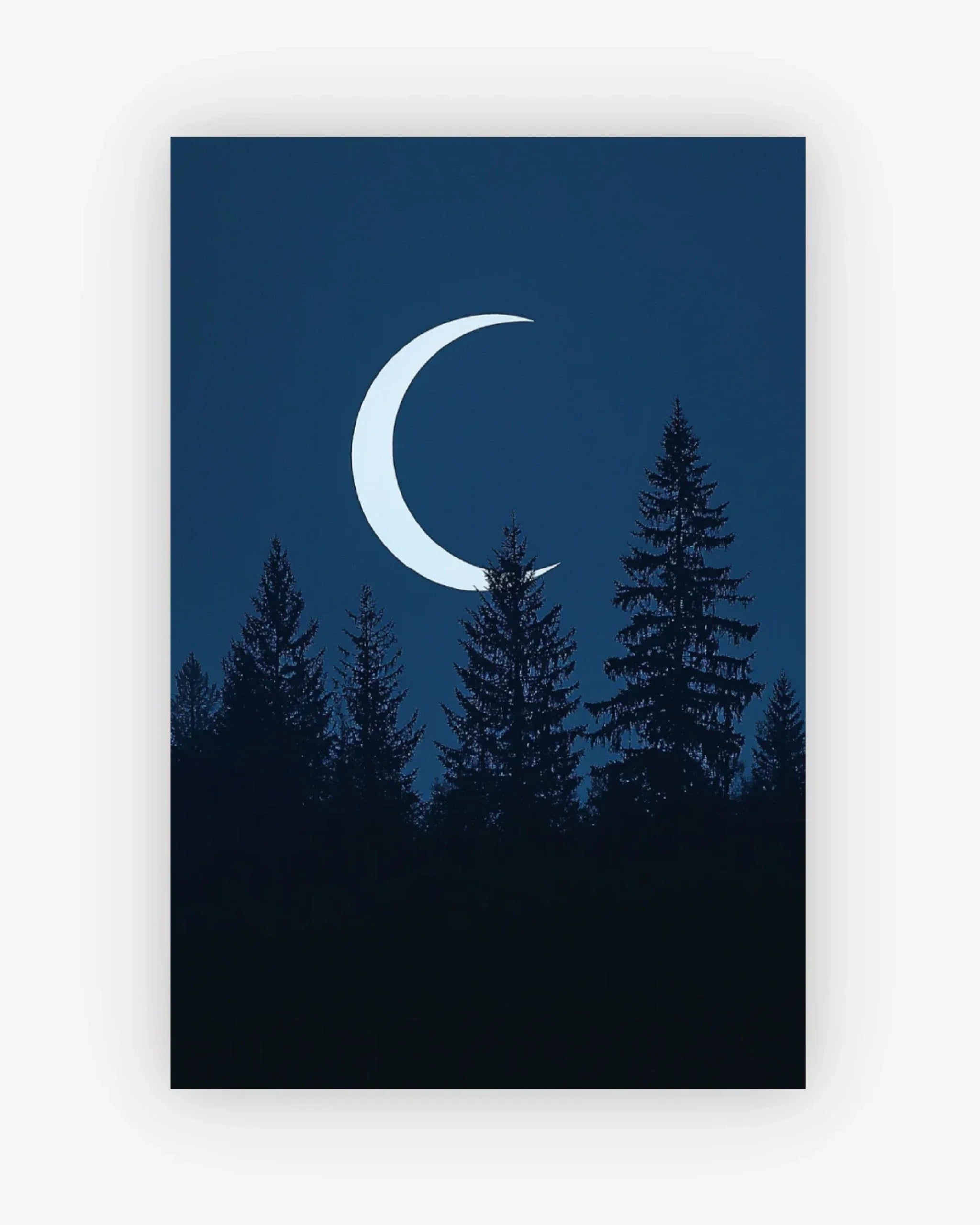 Lunar Pines Poster Nomad Haus