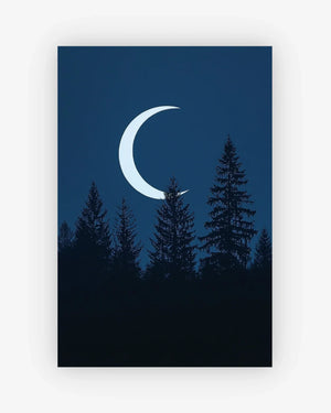 Lunar Pines Poster Nomad Haus