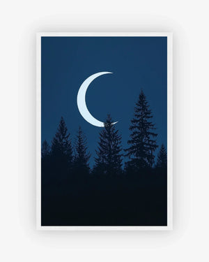 Lunar Pines Poster White Frame Nomad Haus