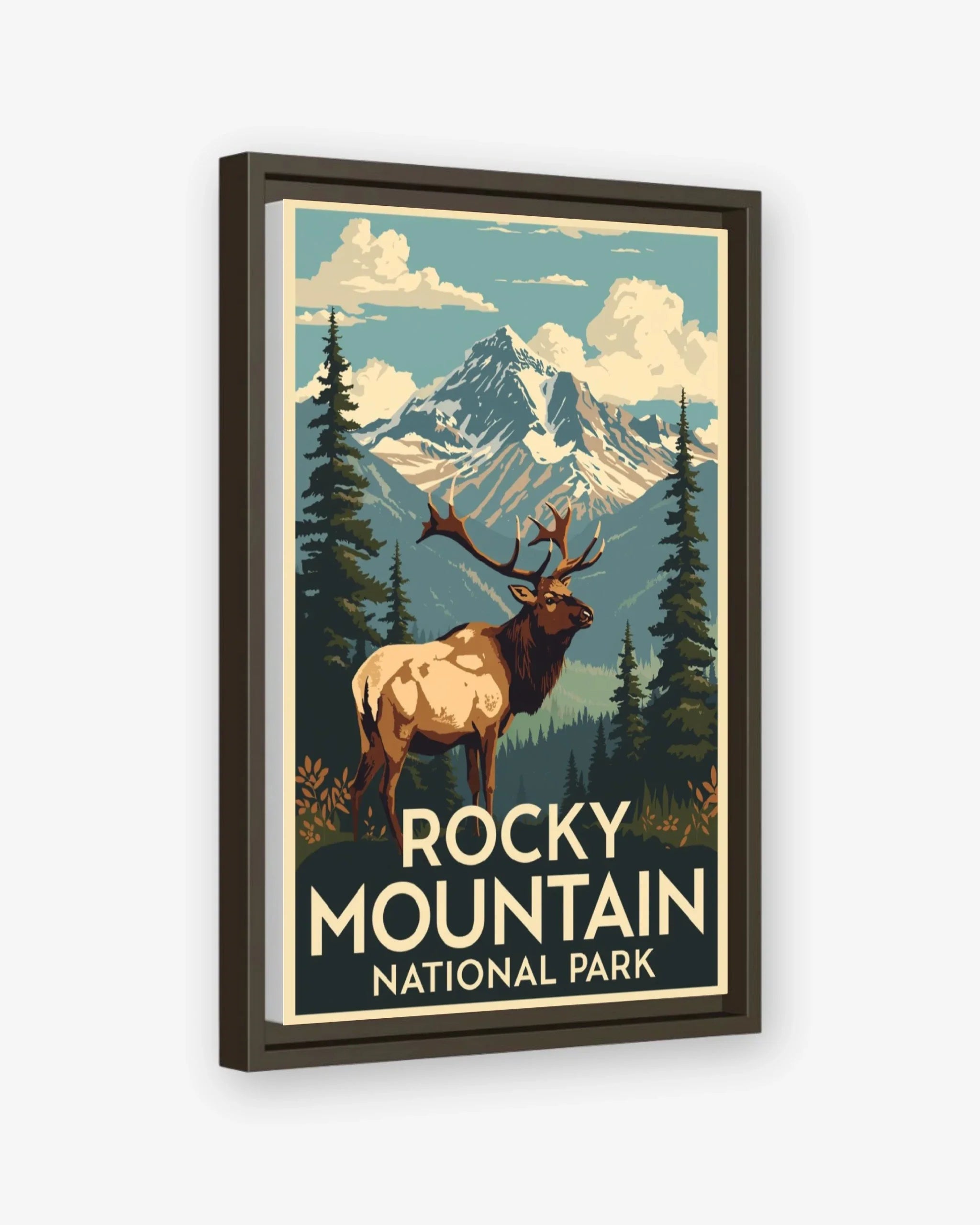 Rocky_Mountain_National_Park_USA canvas with espresso frame