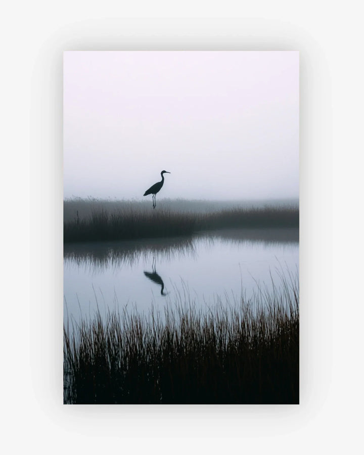 Silhouette of a bird standing on a reflective water surface with reeds in the foreground.