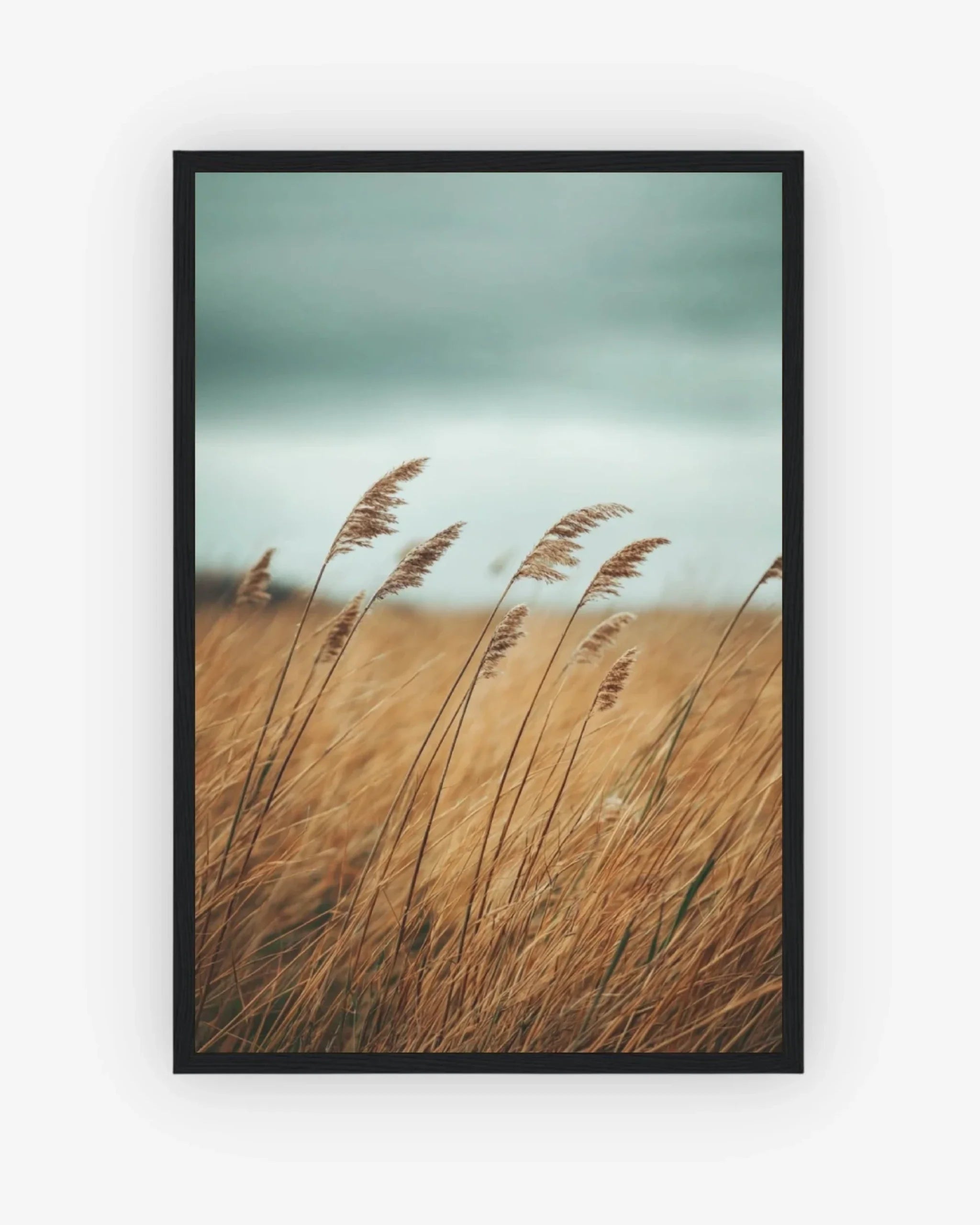 Whispering Grains Poster Black Frame Nomad Haus