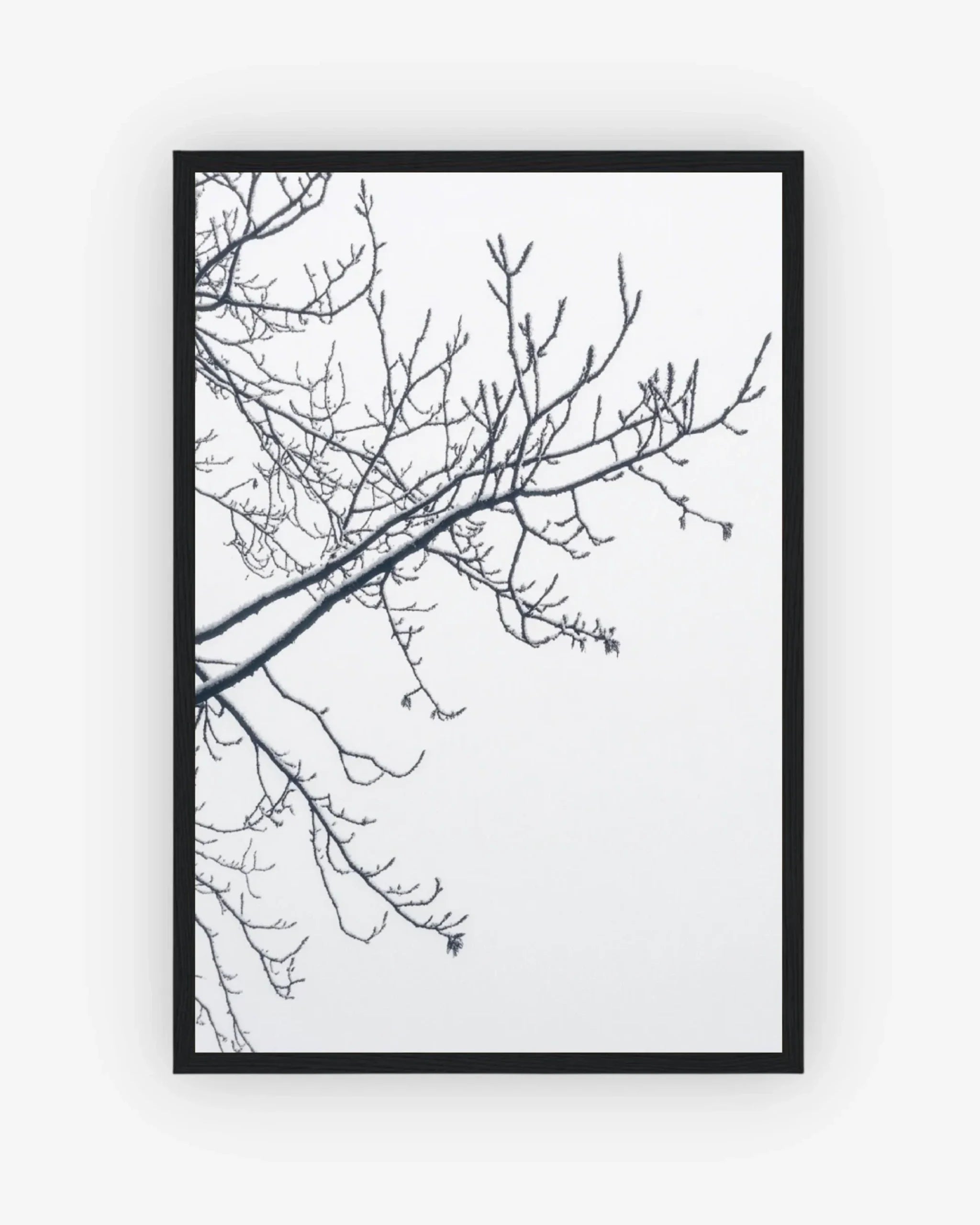 Winter Line Poster Black Frame Nomad Haus