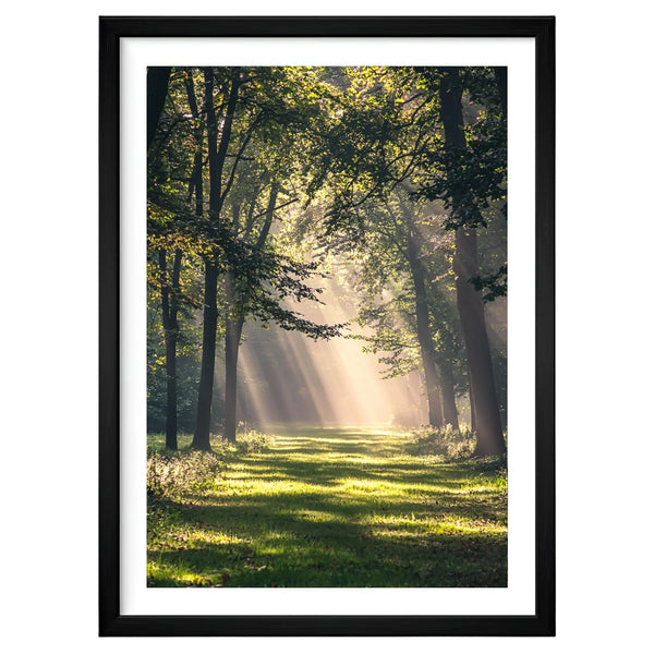Forest Light woodland artwork in a black frame leaning against an off-white wall, featuring golden sunbeams streaming through tall trees onto a softly lit forest floor.