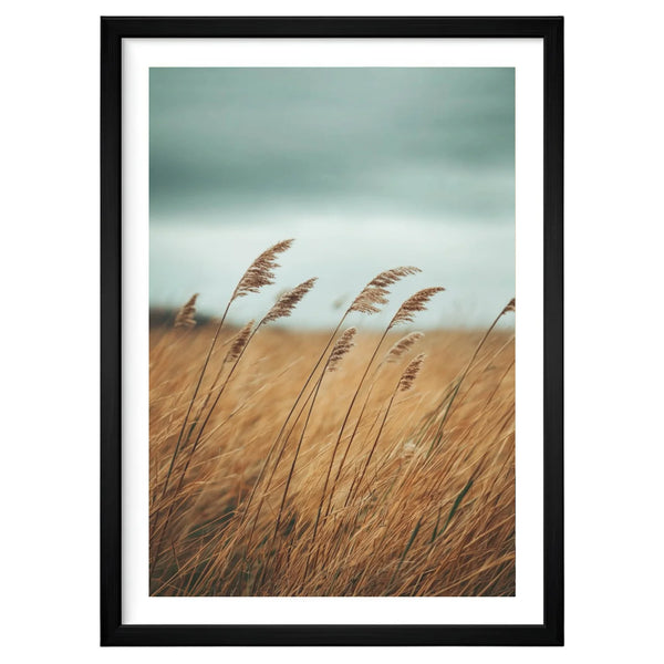 Whispering Grains artwork in a black frame leaning against an off-white wall, featuring wild grasses bending in the wind beneath a cool overcast sky.